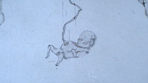 La Chair de ma Chair Bild 2