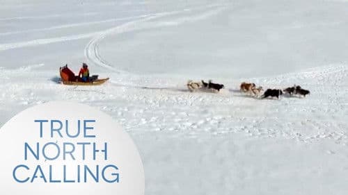 True North Calling Bild 3