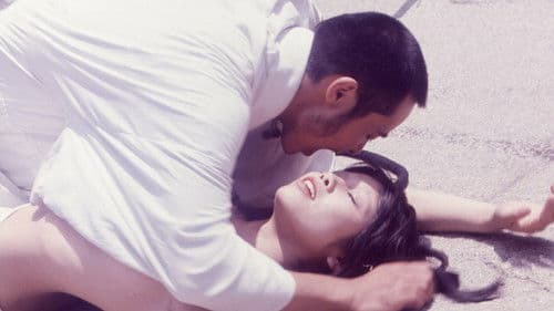 やくざ観音　情女仁義 Bild 1