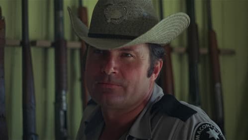 Macon County Line Bild 5