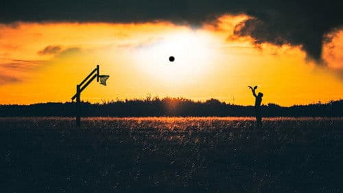 Cross Purposes Bild 1