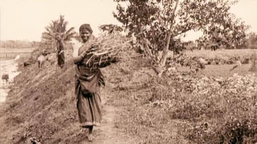 Edward Prince of Wales' Tour of India: Peshawar, The Khyber Pass and Rawl Pindi Bild 1