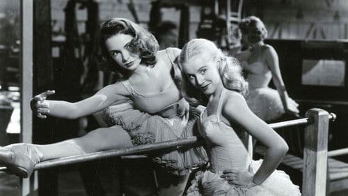 Schicksal in Wien Bild 1