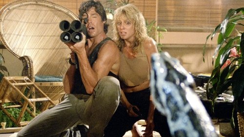 Hard Ticket to Hawaii Bild 5