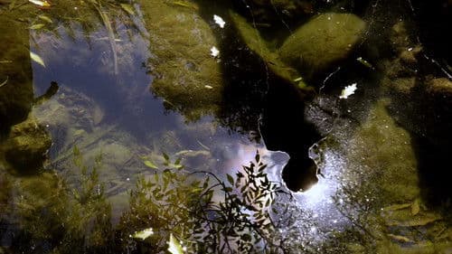 Reflejos del Cielo Bild 2