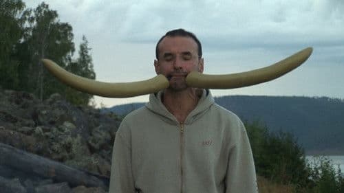 Бирмингемский орнамент 2 Bild 1