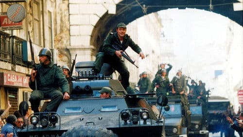 Nelken für die Freiheit Bild 5