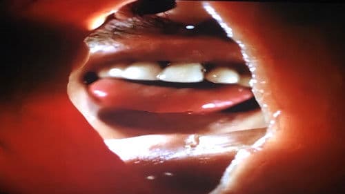 ポルノ・チャンチャカチャン Bild 2