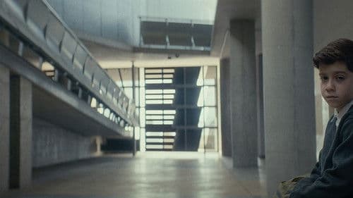 Κάμπια Νύμφη Πεταλούδα Bild 8