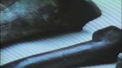 The Real Jurassic Park Bild 3