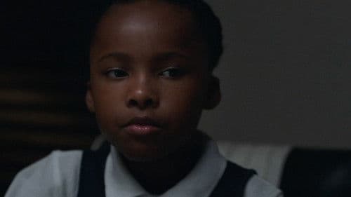 They Charge for the Sun Bild 7