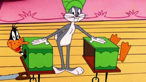 Einmal ein Star sein Bild 5