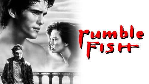 Rumble Fish Bild 2