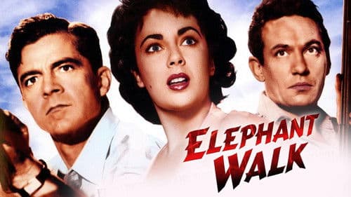 Elefantenpfad Bild 5