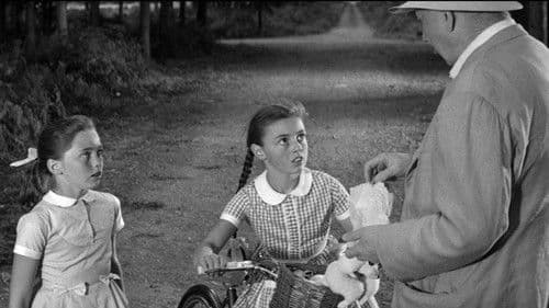 Vertraue keinem Fremden Bild 1