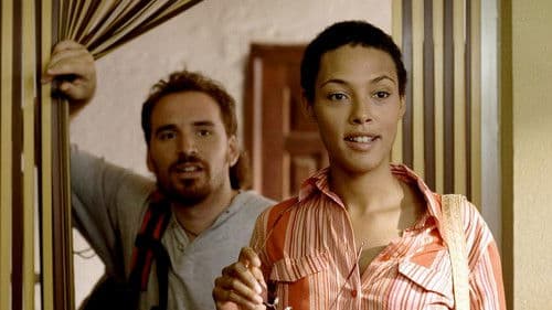 Die Nacht der Sonnenblumen Bild 2