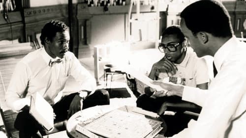 She's Gotta Have It Bild 8