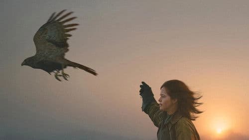 H Is for Hawk Bild 2