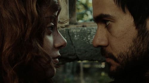 Bağlar, Kökler ve Tutkular Bild 1