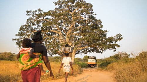 Territorio Africano 2 Bild 8