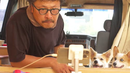 노르웨이산 고등어 Bild 1