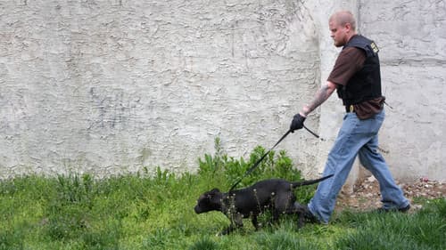 Philly Undercover Bild 6