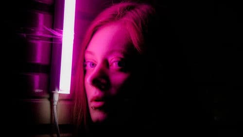 Сторонній Bild 2