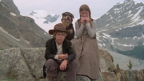 Die Erbschaft in Oregon Bild 4