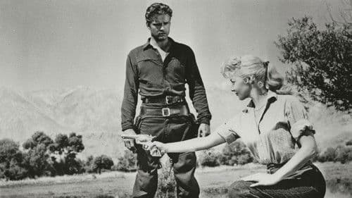 Gelbe Rose von Texas Bild 1