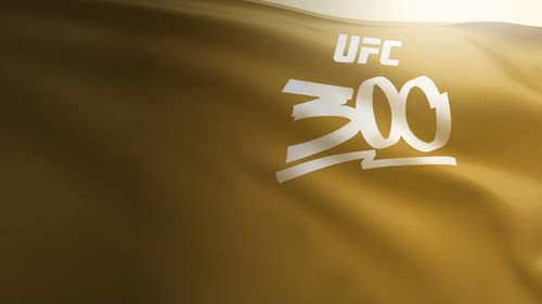 UFC 300: Pereira vs. Hill Bild 3