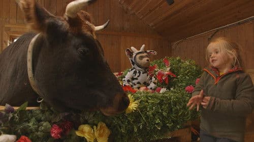 Brillebjørn på bondegården Bild 2