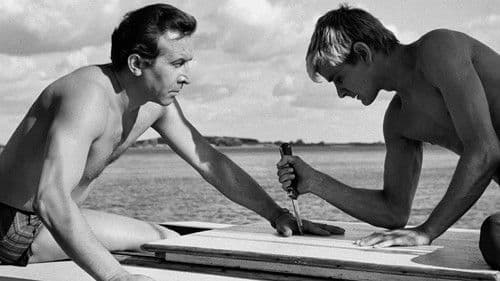 Das Messer im Wasser Bild 2