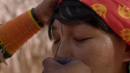 The Endangered Generation? Bild 3