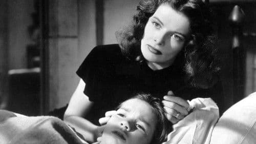 Die ganze Wahrheit Bild 6