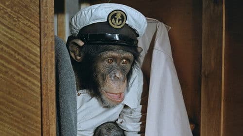 Rette sich wer kann! Bild 5