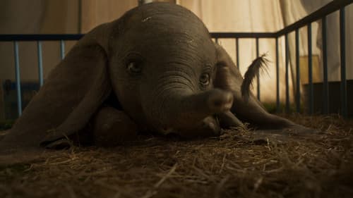 Dumbo Bild 7