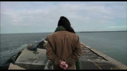 Dromedário no Asfalto Bild 1