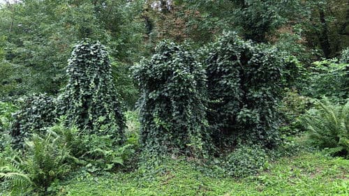 Above Us Only Sky Bild 1