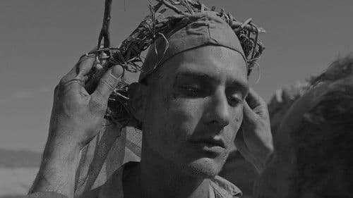 Lijepa večer, lijep dan Bild 6