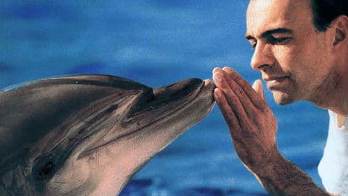 Homme et Dauphin : Mode d’emploi Bild 2
