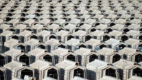 Tierleid vom Fließband Bild 7