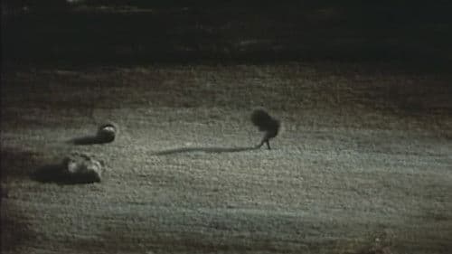 Déjeuner du matin Bild 1