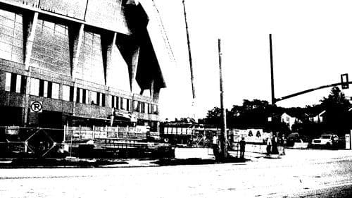 Weightless Bird In A Falling Cage Bild 1