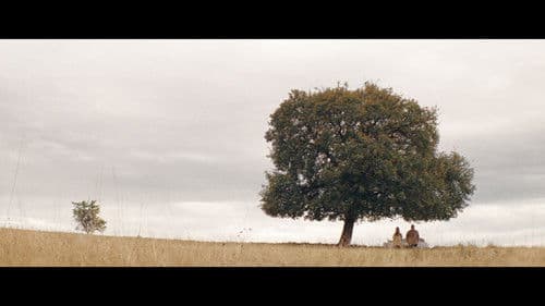 Стадото Bild 3