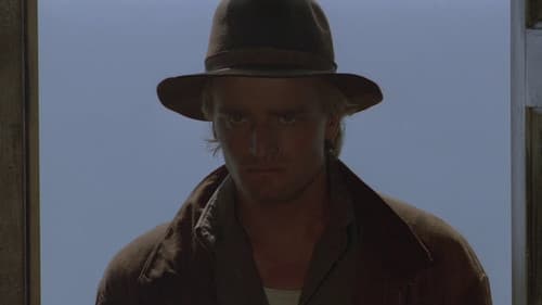 Les Fous de Bassan Bild 3