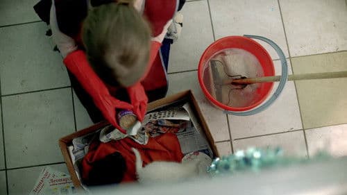 The Year of the Cat Bild 3