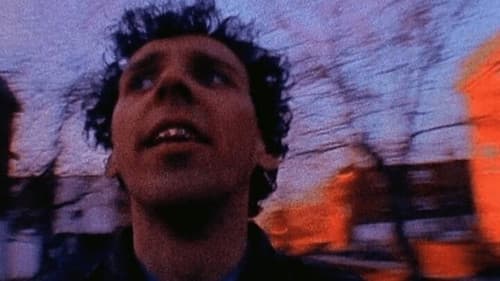 Julien Donkey-Boy Bild 1