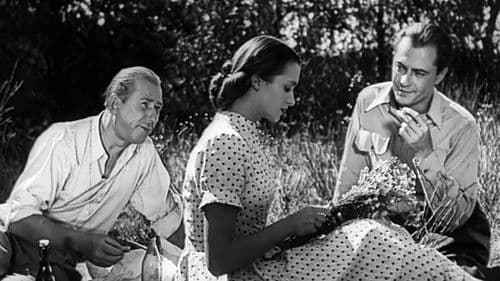 Uczta Baltazara Bild 5