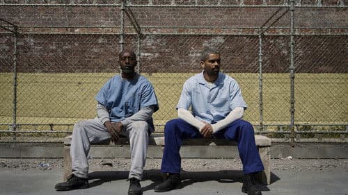 Frank & Louis Bild 2