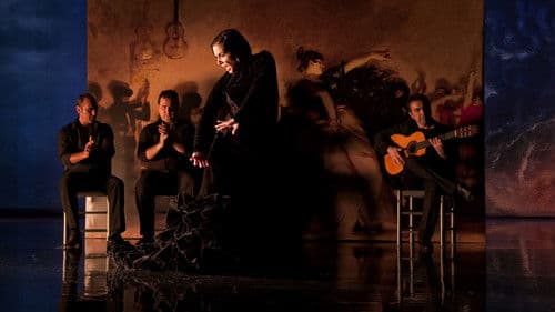Flamenco Flamenco Bild 5